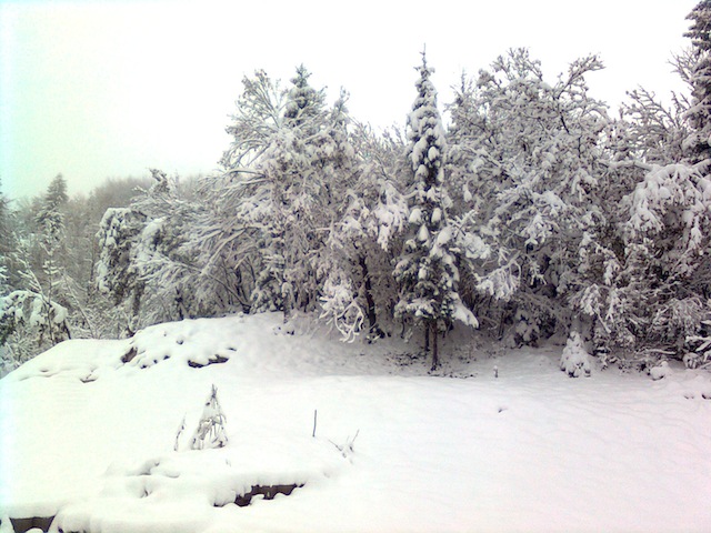 This is what ~20 cm (8 inches) of snow look like