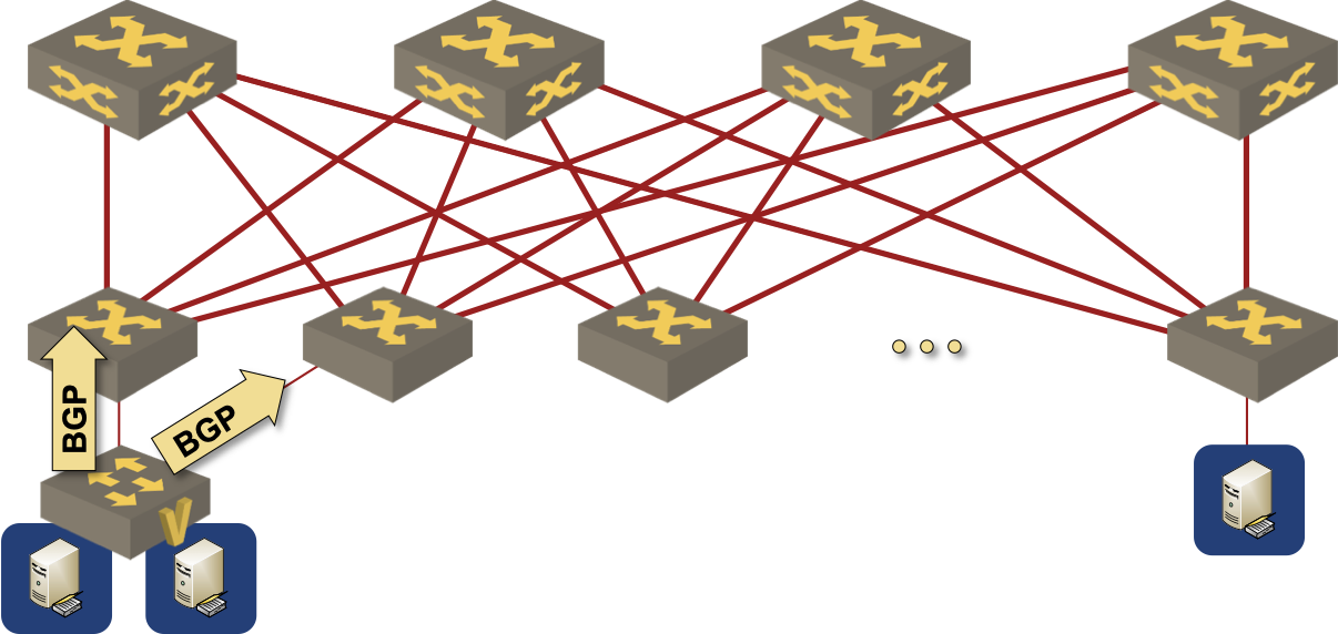 A virtual switch in a Kubernetes node advertising a BGP prefix to the data center fabric