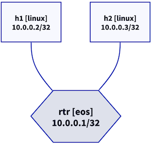 Lab topology
